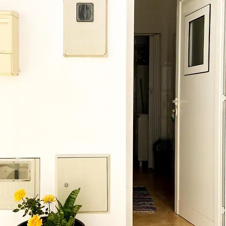Estúdio Cozy - Acolhedor E Renovado Apartamento